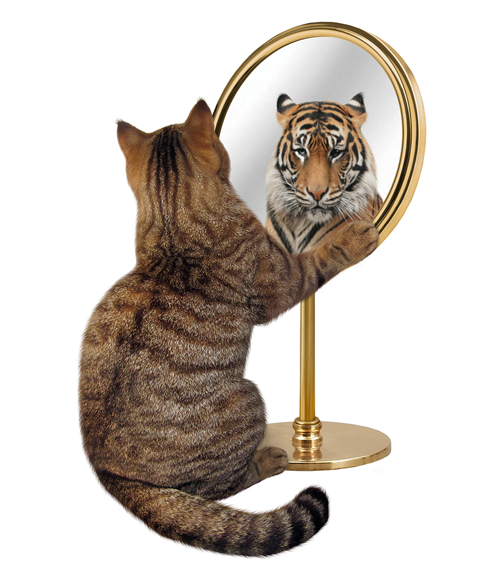 Cat looking in mirror and seeing a lion